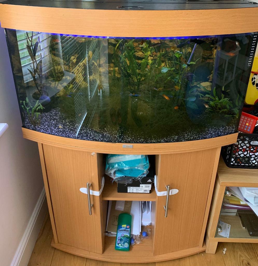 Fish tank in Portsmouth, Hampshire Gumtree