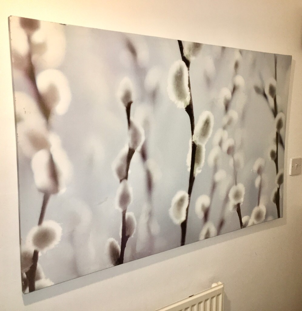 Large Ikea Willow Tree Bud Canvas Print in Cambridge, Cambridgeshire