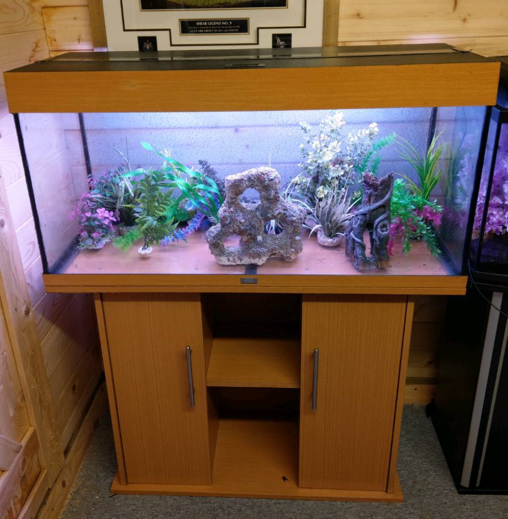 Juwel Rio 180L Tropical Fish Tank in Morpeth, Northumberland Gumtree