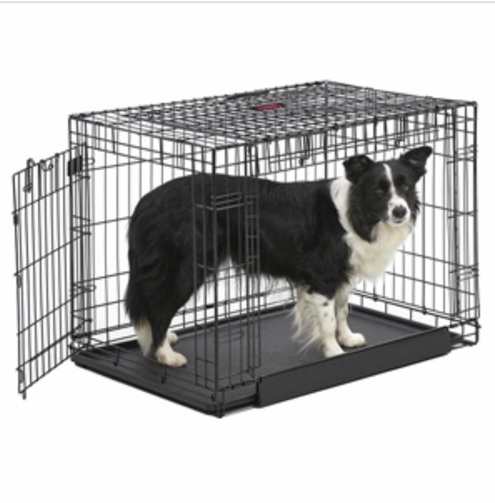 KONG 2 Door Dog Crate in Bedworth, Warwickshire Gumtree