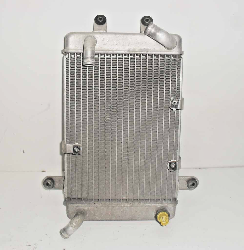 Radiatore Suzuki Burgman 250 400 Business 2001 2002