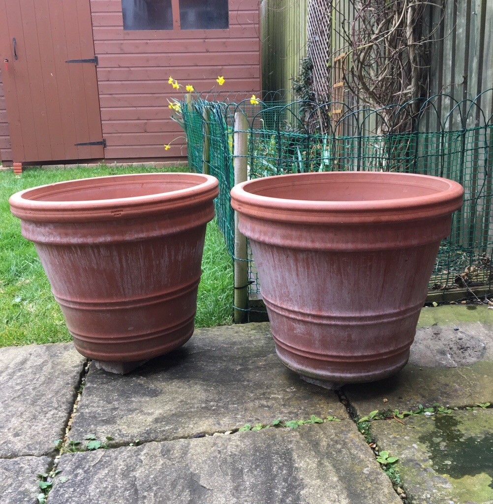 Two large Italian terracotta pots in Eastbourne, East Sussex Gumtree