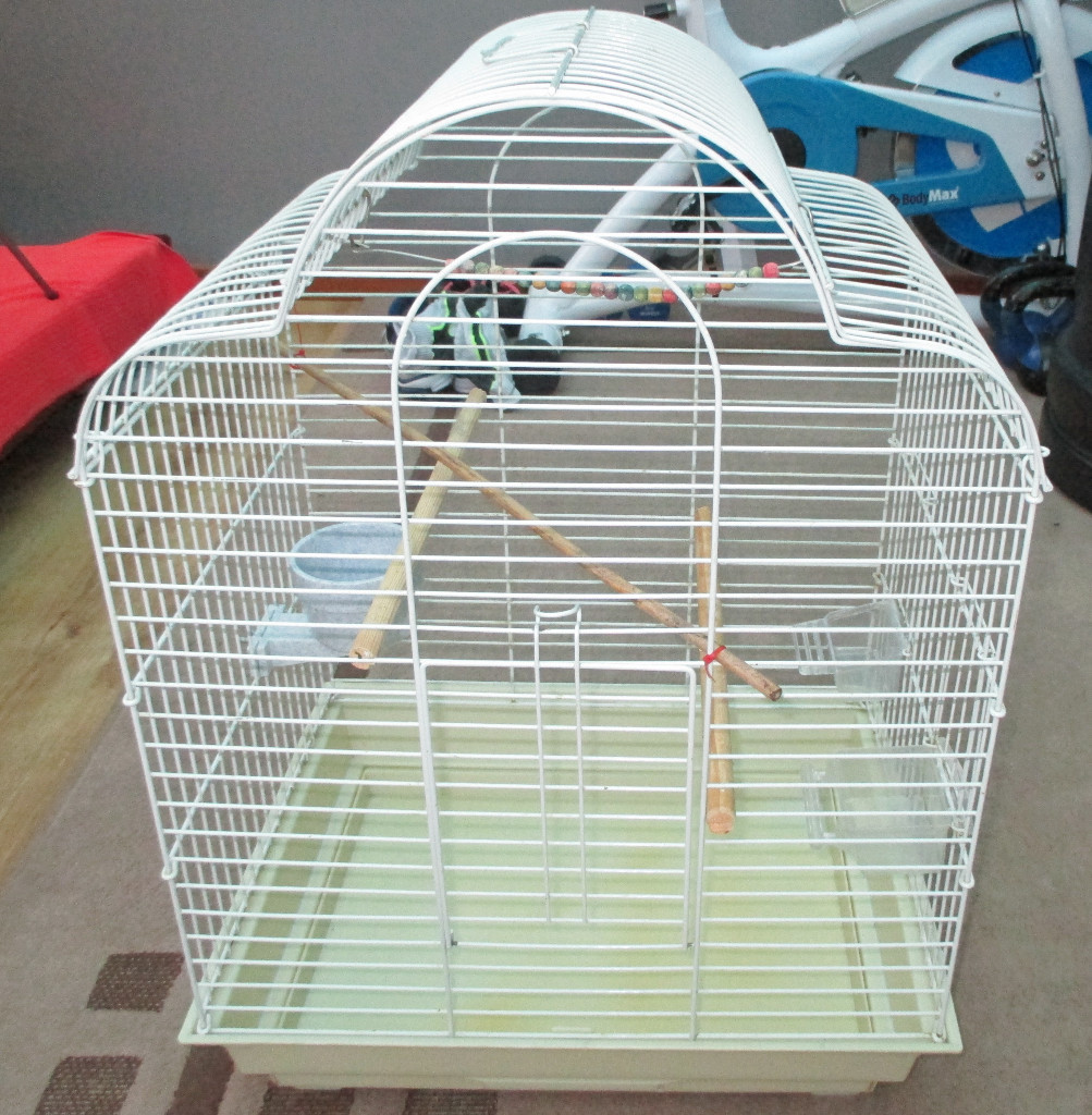 Budgie/Bird Cage in Thetford, Norfolk Gumtree