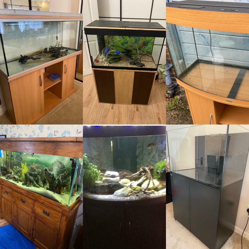 Aquariums used fish tank tropical marine cold water London delivery in London Gumtree
