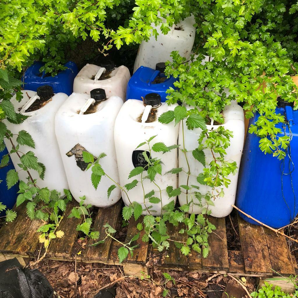 Free 25 litre plastic Jerry can containers in Angus Gumtree