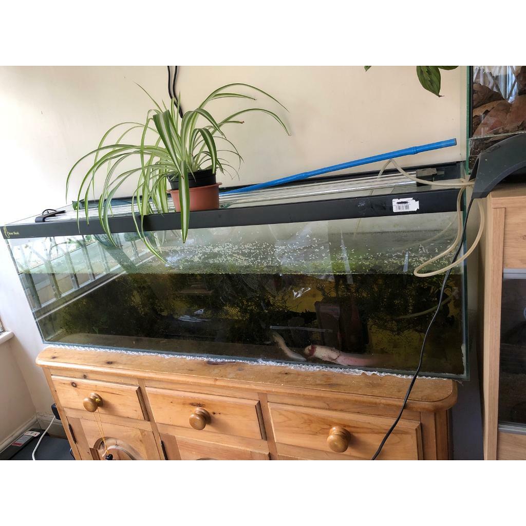 ClearSeal Designer Cube Aquarium/Fish Tank (90L) in Camden Town, London Gumtree