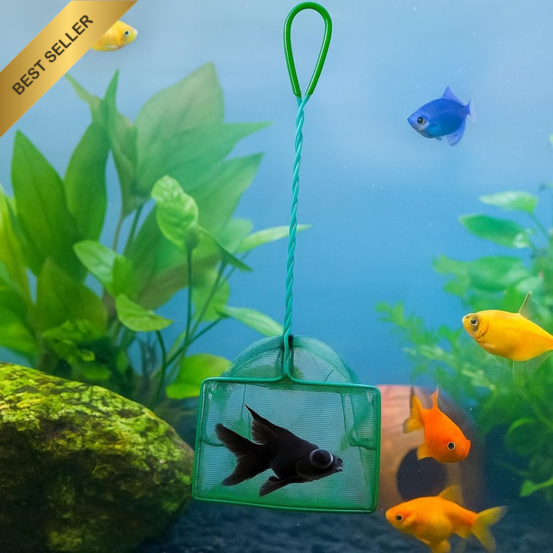 Picture 2 of 4