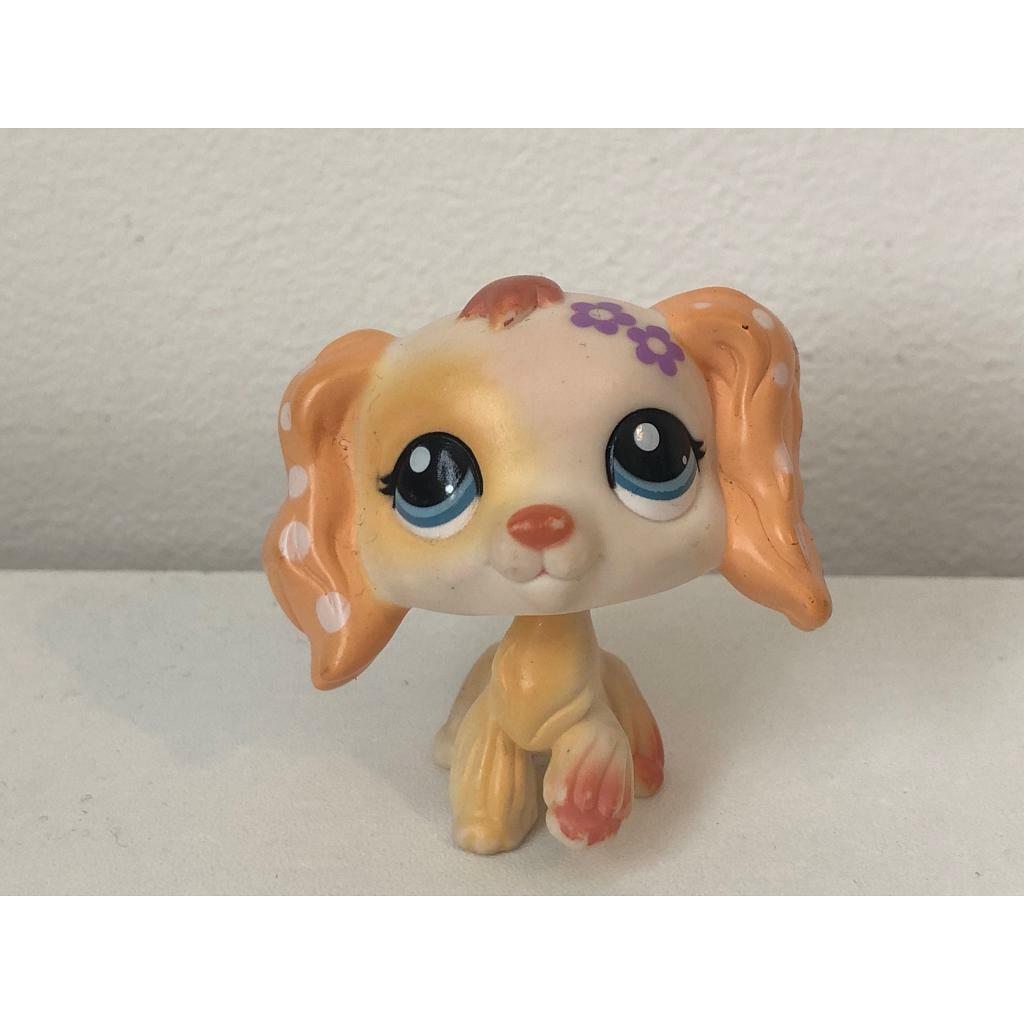 Littlest pet shop cocker spaniel in Norwich, Norfolk Gumtree