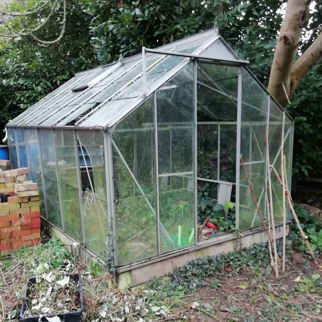 Old Greenhouse in Richmond, London Gumtree
