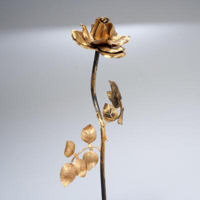 $_1.JPG?set_id=880000500F