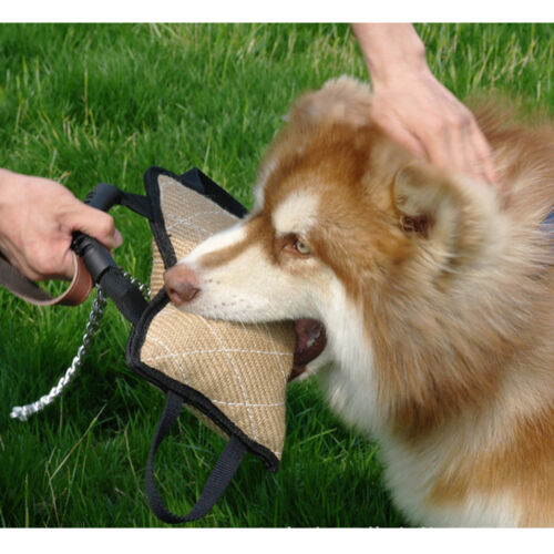 Dog Agility Ausrüstung Dauerhaftes Hundetraining Biss Tug Toy mit 3 Griffen