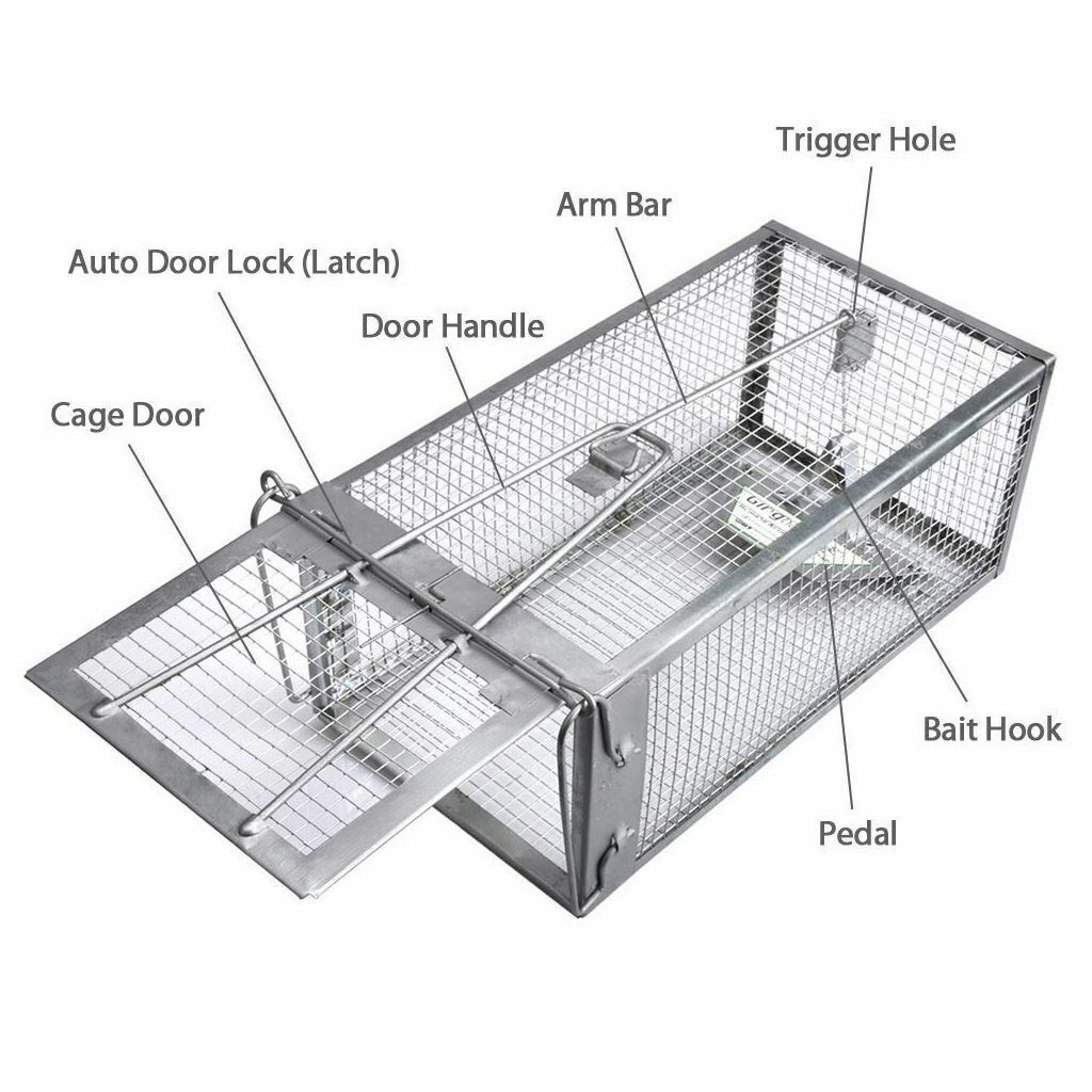 2PC Live Humane Cage Trap small animal rats mice chipmunks rodents Pest Control