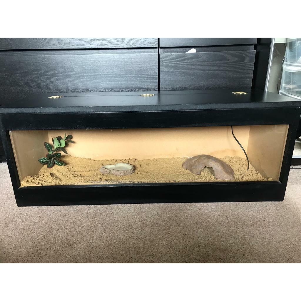 Reptile Vivarium in Ormskirk, Lancashire Gumtree