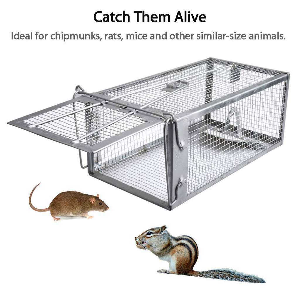 Humane Rat Trap Cage Small Live Animal Pest Rodent Mouse Control Catch Bait Trap
