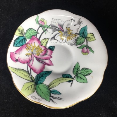 Lovely Queen's Rosina Bone China Cup & Saucer Set w/ Flowers & Leaves