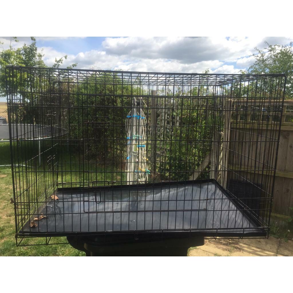 XXL dog crate for sale in Dereham, Norfolk Gumtree