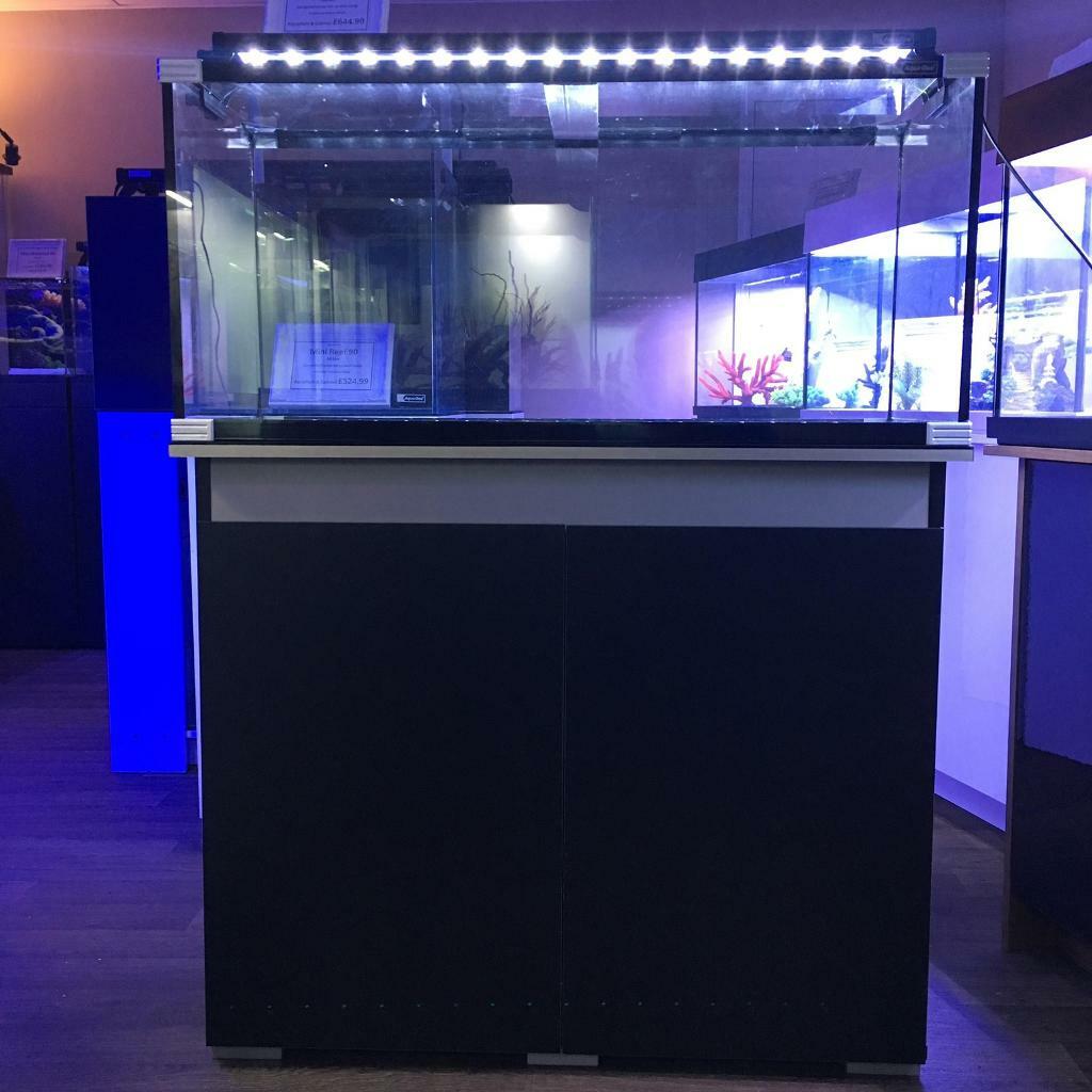 3 ft Fish Tank, Stand and Filter in Paisley, Renfrewshire Gumtree