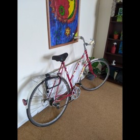 norco fluid 7.2 ht plus