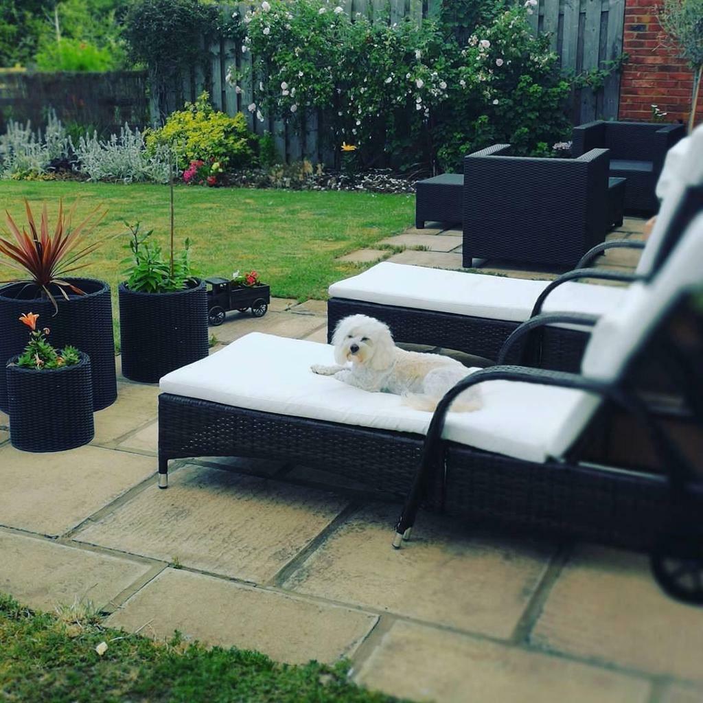 Patio slabs for sale 600mmx600mm in Bedford, Bedfordshire Gumtree