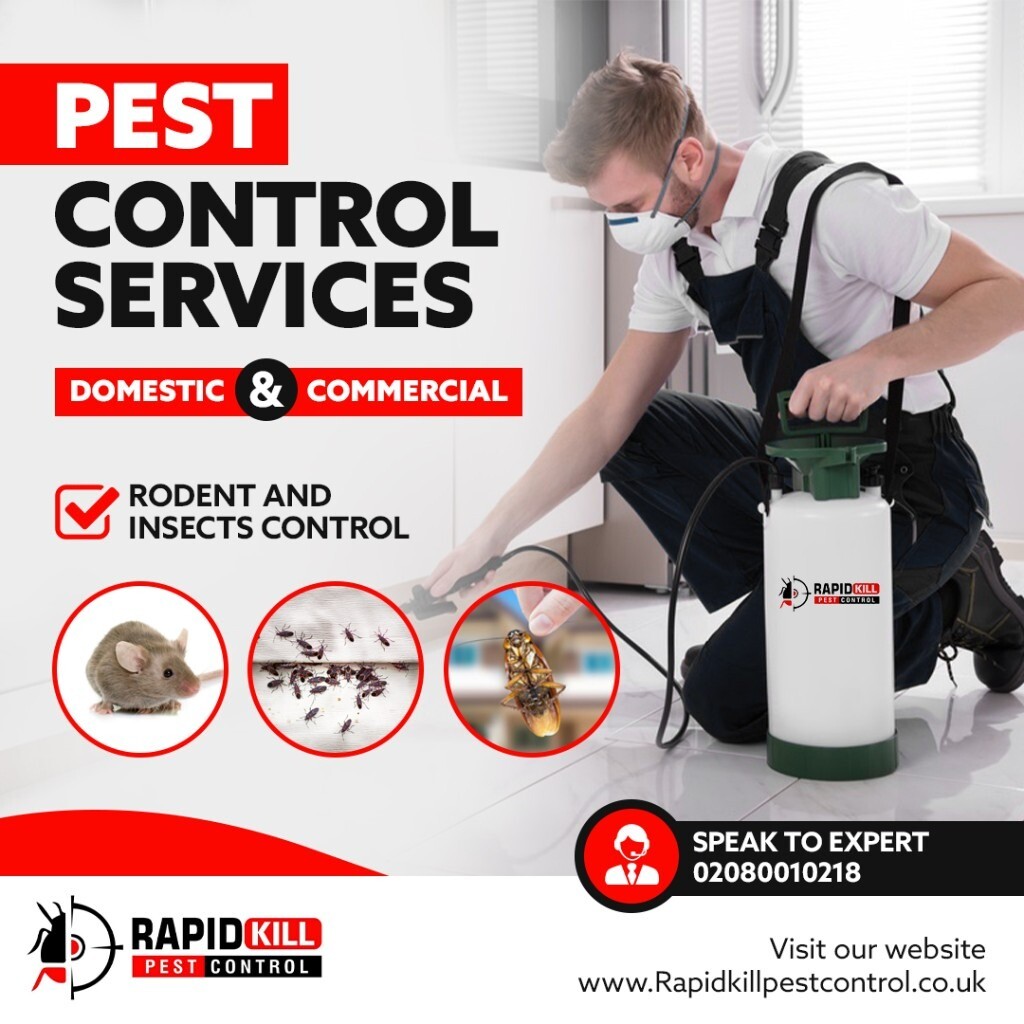 Pest Control london Mice Rat Bedbugs Ants Cockroaches Fleas Wasps mouse