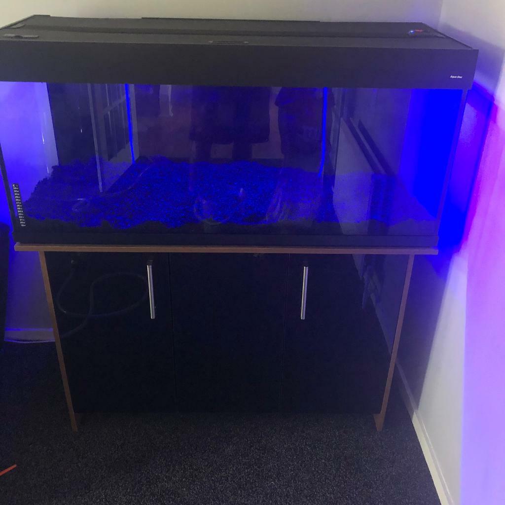 Aqua one aqua vogue 4ft fish