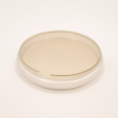 Pre-poured MEYA (Malt Extract Yeast Agar) Agar Petri Dish in 90mm Plate