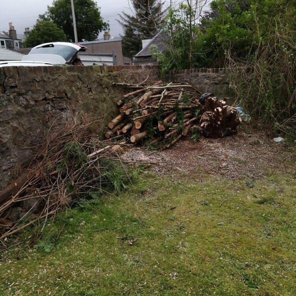 Firewood in Aberdeen Gumtree