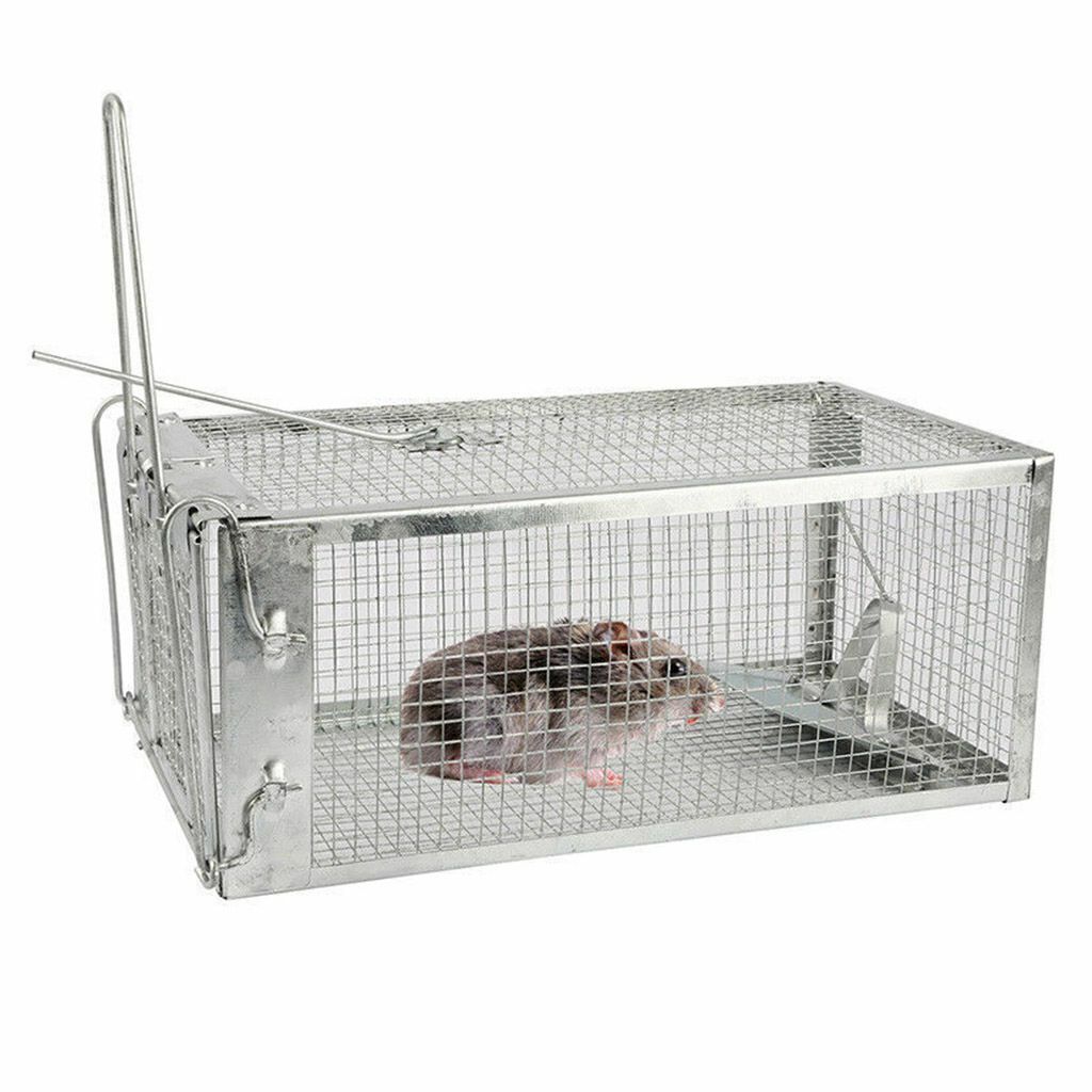 3pc Rat Trap Cage Small Live Animal Pest Rodent Mouse Control Catch Hunting Trap