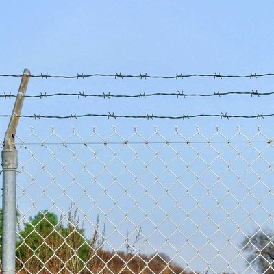 vidaXL Barbed Wire Green 100 m Hot-dip Galvanised Steel