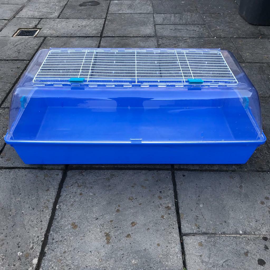 Small animal rodent hamster plastic tank cage in Bournemouth, Dorset
