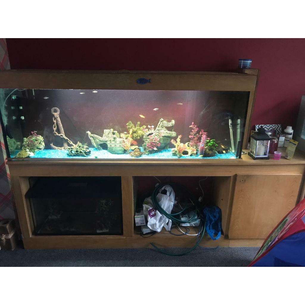 6ft fish tank & stand in Hartlepool, County Durham Gumtree