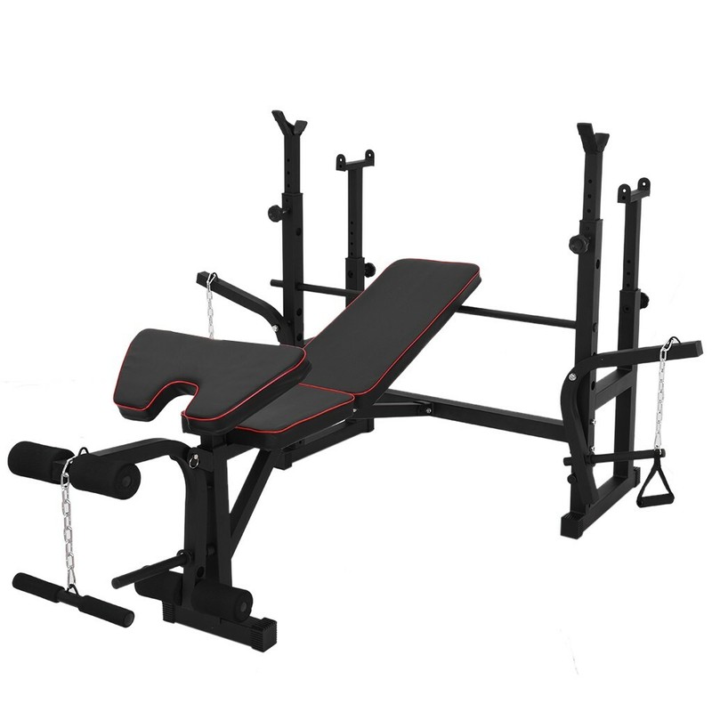 ADJUSTABLE Weight Bench Press with Leg Developer and Exercise Chart