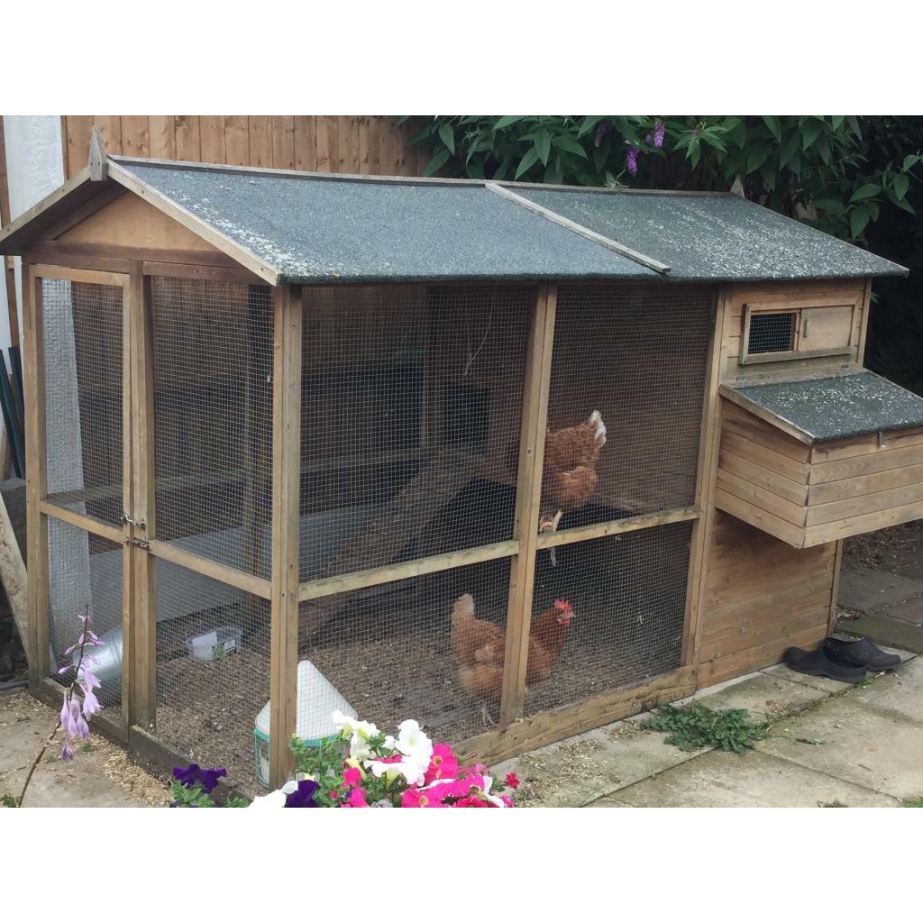 Large Chicken Coop Run In Dinnington South Yorkshire Gumtree