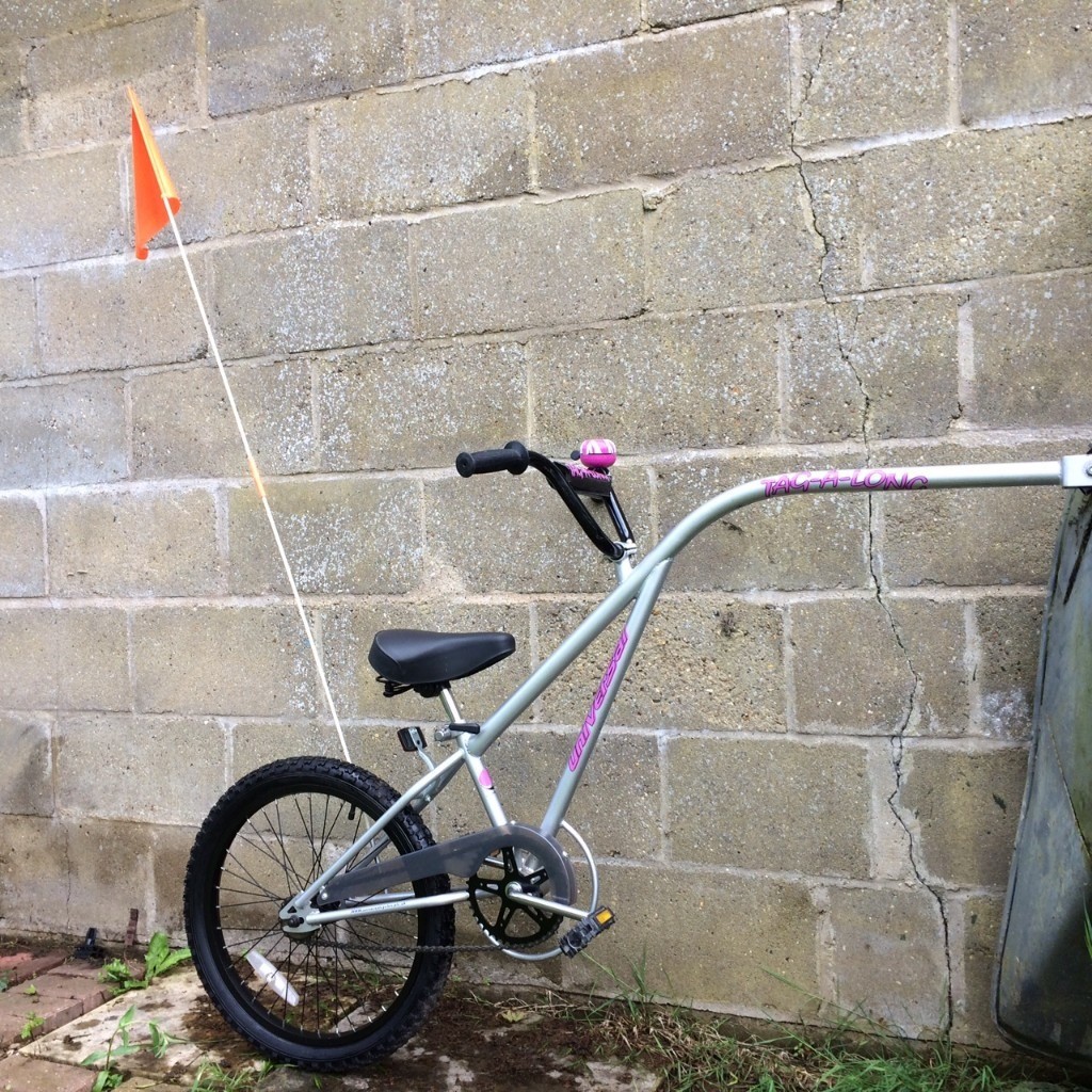 tag along bike age