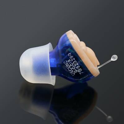 MiNi Digital Invisible Hearing Aids CIC Small Sound Voice Amplifier Enhancer US