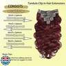 Tandulo Clip in Hair Extensions Real Human Hair Body Wave 99J Burgundy Clip in 100% Brazilian Remy Human Hair Extensions 8pcs Per Set with 18 Clips Double Weft 18 Inch 100g/3.6oz