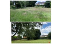 Lawn Mowing Gardening Landscaping Services Gumtree