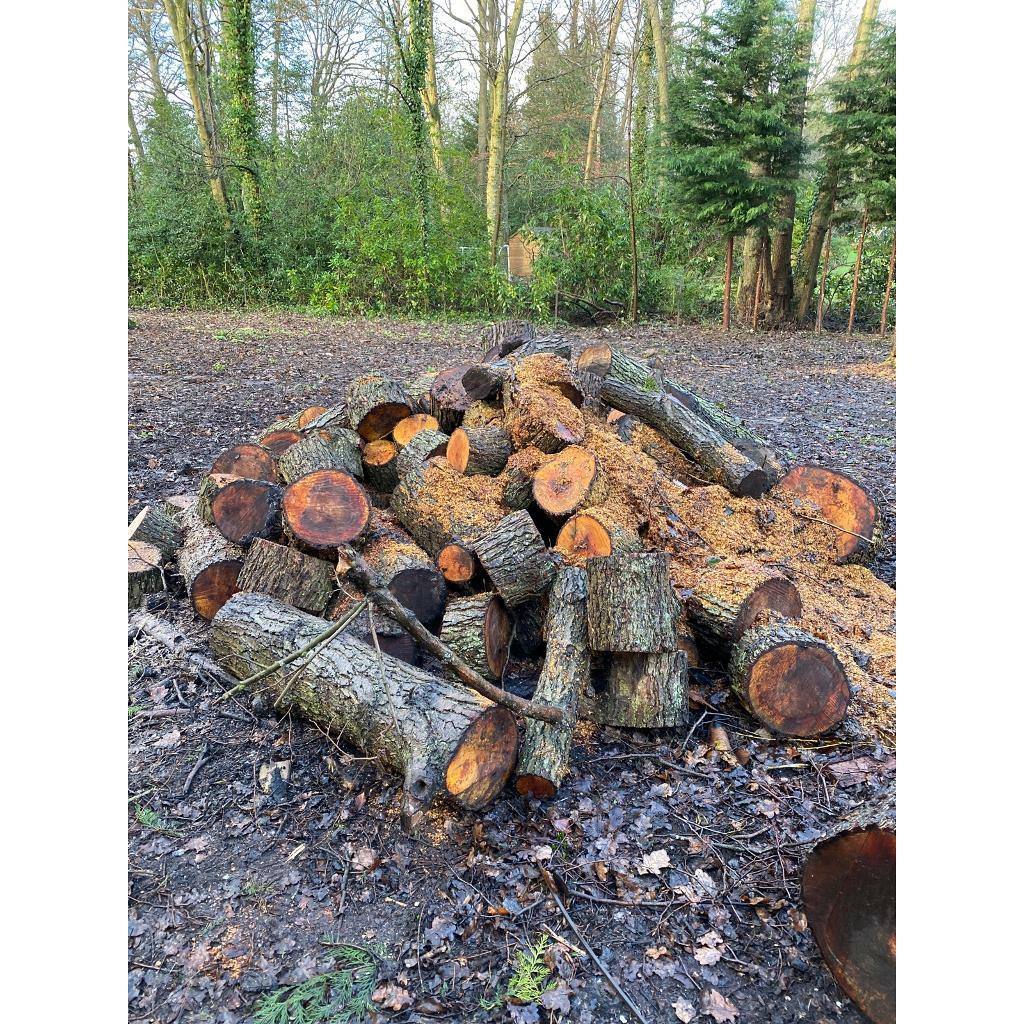 Free tree wood in Hayes, London Gumtree