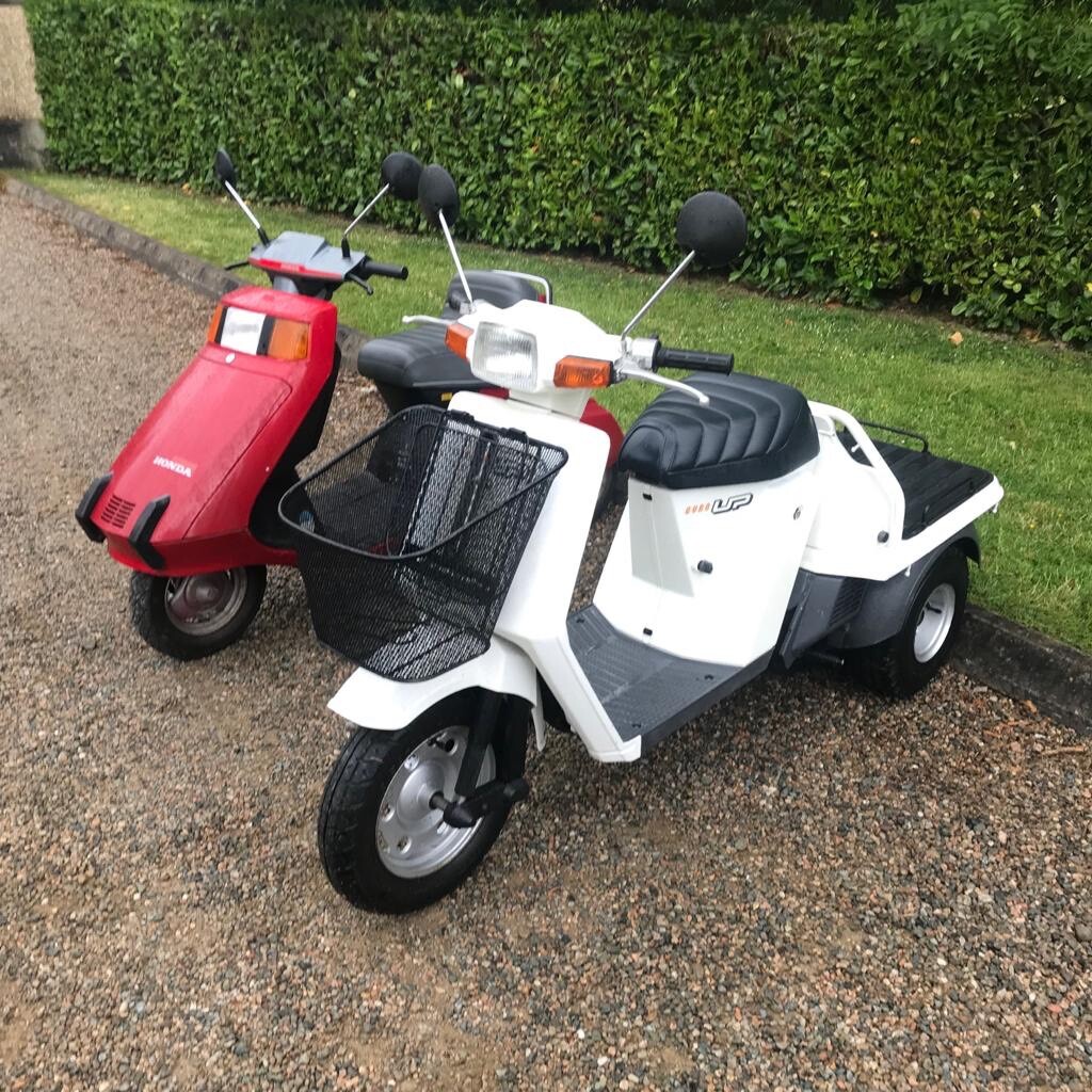 Honda Monkey 50Cc Prix / Honda 50cc Monkey Z50A - 1972 - Catawiki