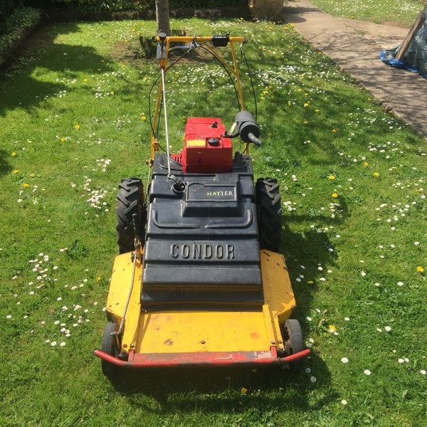 Hayter Condor for sale in UK 60 used Hayter Condors