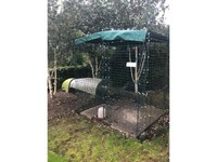 Chicken Coop Gumtree