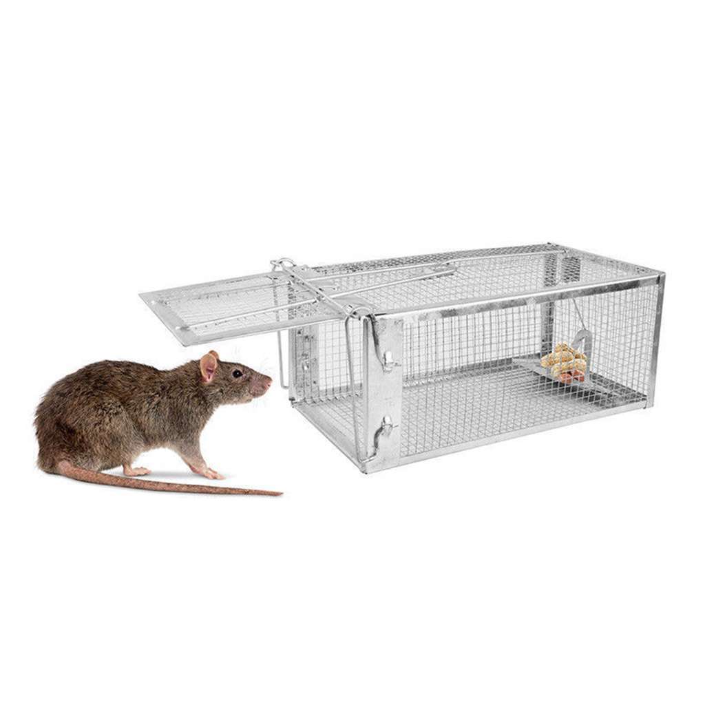 Humane Rat Trap Cage Small Live Animal Pest Rodent Mouse Control Catch Bait Trap