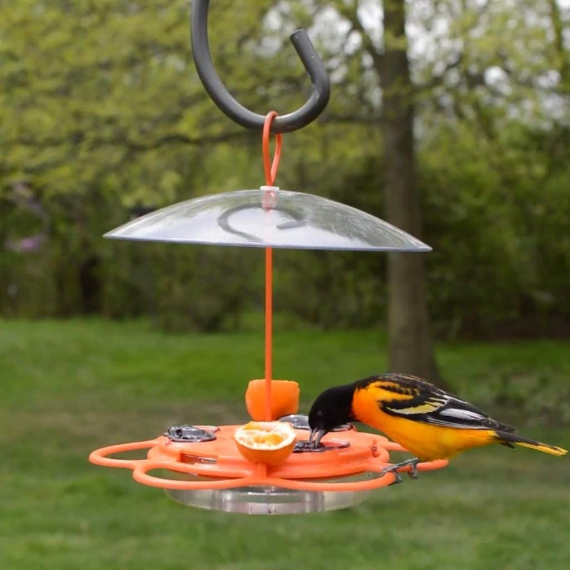 OFP1 All-In-One Oriole Buffet Bird Feeder, Orange Weather Resistant, Built