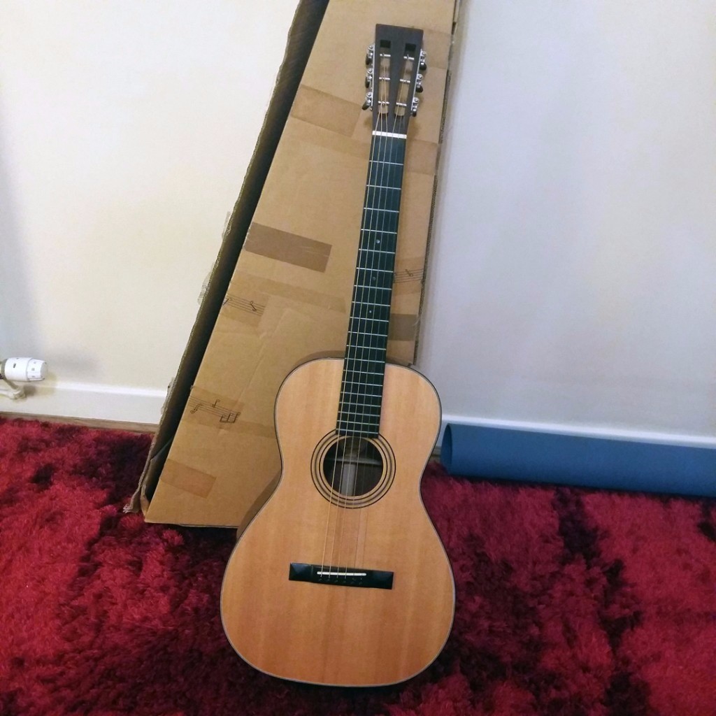 Blueridge BR341 Parlour Size Acoustic Guitar in Hamilton, South