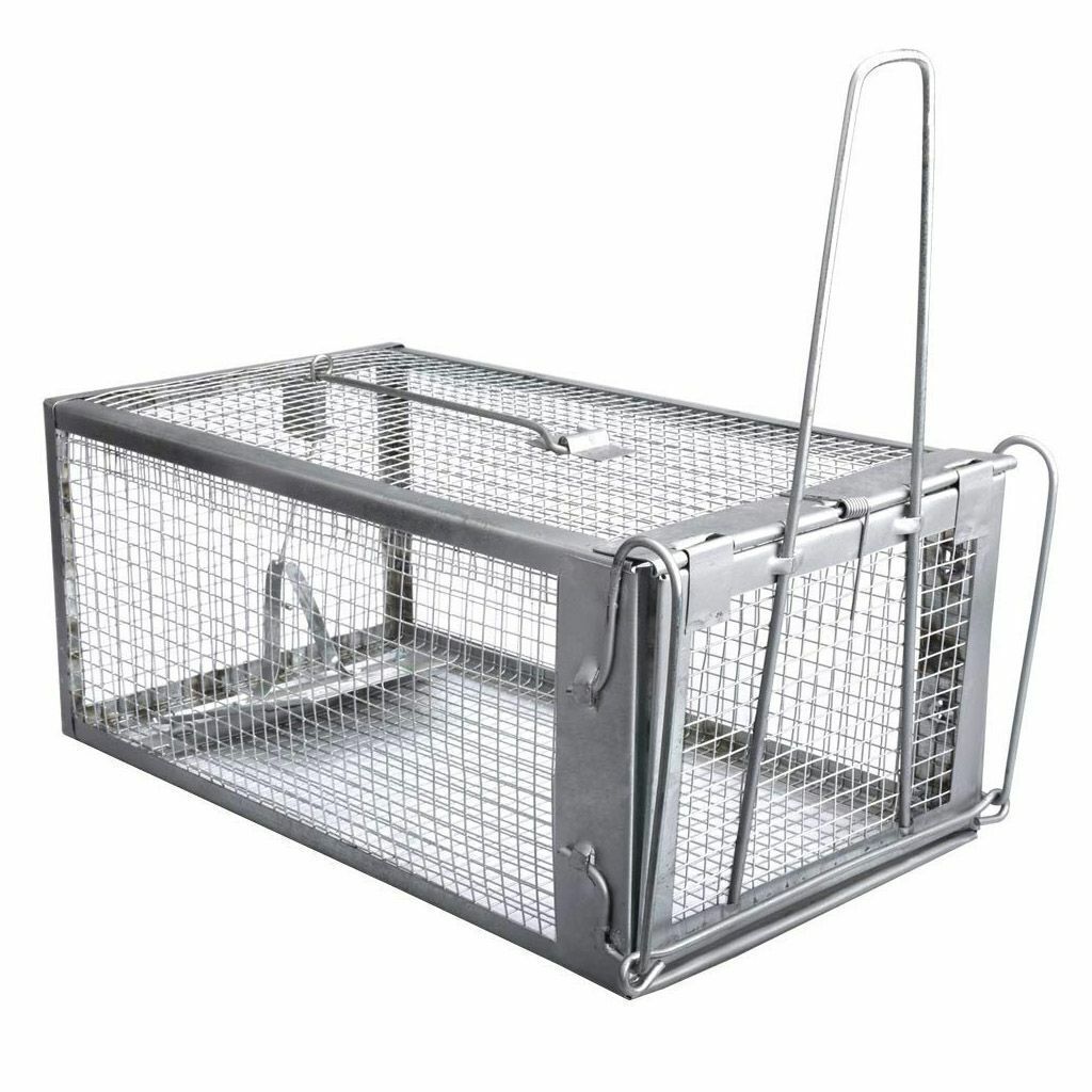 1-3x Live Humane Cage Trap For Squirrel Chipmunk Rat Mice Rodent Animal Catcher