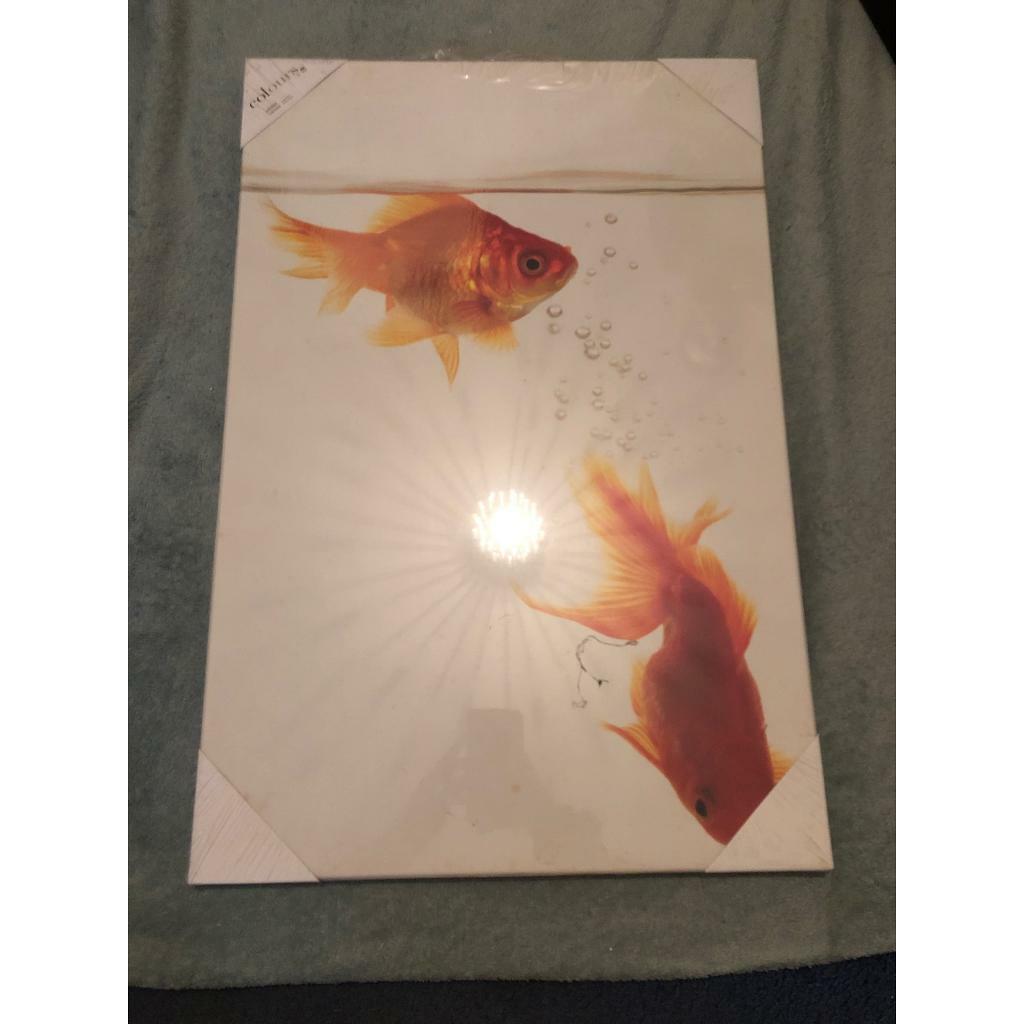 B&Q Fish Wall Art in Swansea Gumtree