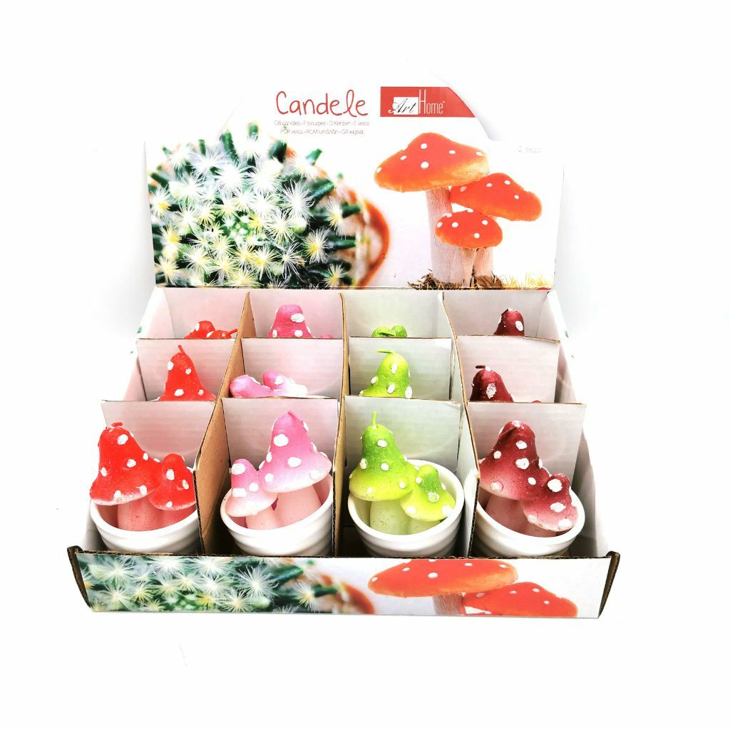 Set 12 Pezzi Candele A Forma Di Funghi In Vasetto Colori Assortiti sus