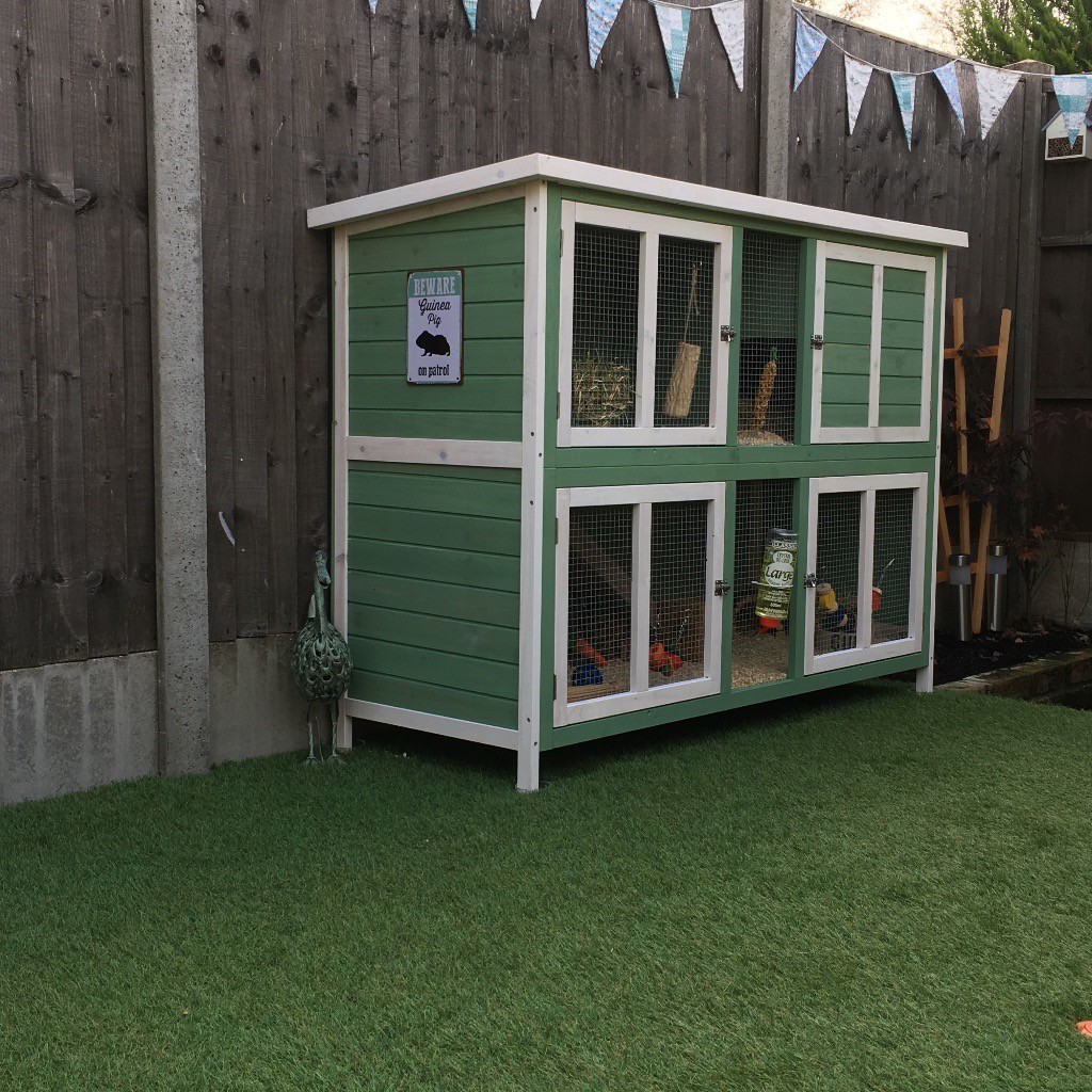 **4x GUINEA PIGS, HUTCH AND ALL ACCESSORIES FOR SALE in Wateringbury
