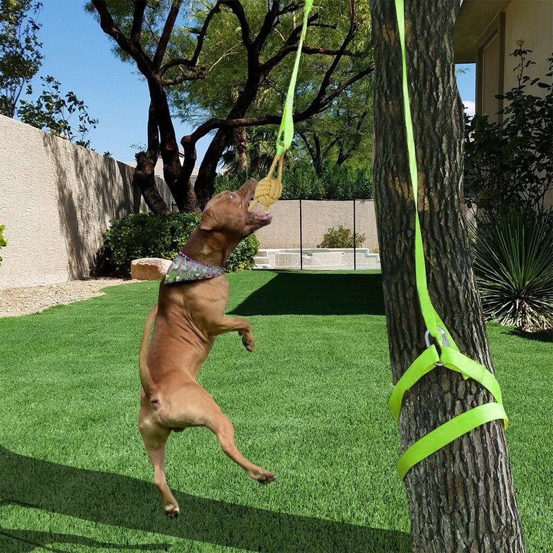 rope tug toys for dogs