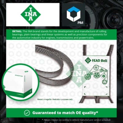 5 Rib Multi V Drive Belt fits FIAT 500 312 1.2 1.4 2007 on INA 46818260 55191970